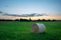 A hay bale lying in the meadow Royalty Free Stock Photo