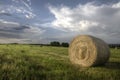 Hay bale in the meadow Royalty Free Stock Photo