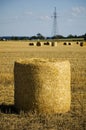 Hay bale rolled in sunset evening. Royalty Free Stock Photo