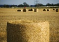 Hay bale rolled in sunset evening. Royalty Free Stock Photo