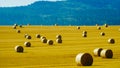 Hay bale rolls