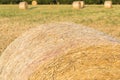 Hay bale in a rural field
