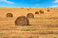 Hay bale. Scene with haystacks on the field. Beautiful landscape with stacked roll straw bales in end of summer