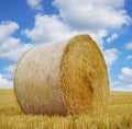 Hay, bale and stack on grass in field from harvest of straw in summer on farm with agriculture. Farming, haystack and Royalty Free Stock Photo