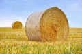 Hay, bale and stack of grass in field from harvest of straw in summer on farm with agriculture. Farming, landscape and Royalty Free Stock Photo