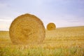 Hay, bale and stack on grass in landscape of field in summer harvest on farm with agriculture. Farming, haystack and Royalty Free Stock Photo
