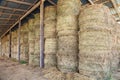 Hay bale stacked in barn Royalty Free Stock Photo