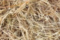 Hay bale texture, dry textured straw background, golden haystack in the rural field Royalty Free Stock Photo