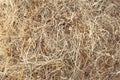 Hay bale texture, dry textured straw background, golden haystack in the rural field Royalty Free Stock Photo