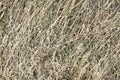 hay bale texture, dry textured straw background, golden haystack in the rural field Royalty Free Stock Photo