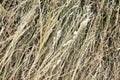 Hay bale texture, dry textured straw background, golden haystack in the rural field Royalty Free Stock Photo