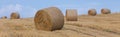 Hay bale wheat field Royalty Free Stock Photo