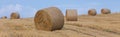 Hay bale wheat field