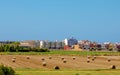 Hay baled and tied by baler into bales for cow feeding Royalty Free Stock Photo