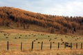 Hay bales