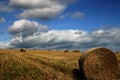 Hay bales