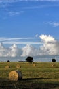 Hay bales