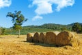 Hay bales