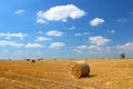 Hay bales