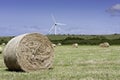 Hay Bales