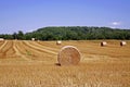 Hay Bales