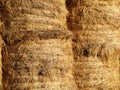 Hay bales Royalty Free Stock Photo