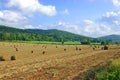 Hay Bales