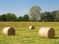 Hay bales