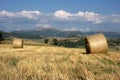 Hay bales