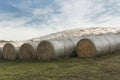 Hay bales on the agricultural field after harvest on sunny summer day Royalty Free Stock Photo