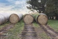 Hay bales on the agricultural field after harvest on sunny summer day Royalty Free Stock Photo