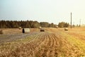 Hay bales. Agriculture field with blue sky and power lines. Rural nature in the farm land. Straw on the meadow. Royalty Free Stock Photo