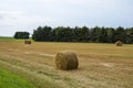 Hay bales on the agriculture field during wheat harvest time Royalty Free Stock Photo