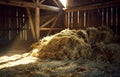 Hay bales in barn. A pile of hay in the barn Royalty Free Stock Photo