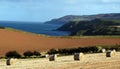 Hay bales on coastline Royalty Free Stock Photo