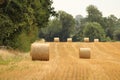 Hay bales croped and rolled