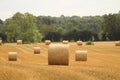 Hay bales croped and rolled