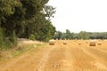 Hay bales croped and rolled