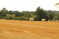 Hay bales croped and rolled