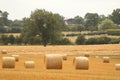 Hay bales croped and rolled