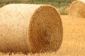 Hay bales croped and rolled