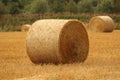 Hay bales croped and rolled