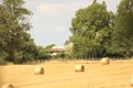 Hay bales croped and rolled