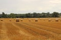 Hay bales croped and rolled