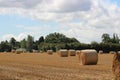 Hay bales croped and rolled