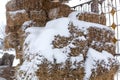 Hay bales crushed by snow. close up a
