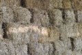 Hay bales Royalty Free Stock Photo