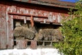 Hay bales falling out of old barn