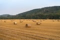Hay bales on a farm field. Rural landscape after harvest.