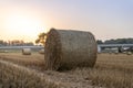 Hay bales on a farm field. Rural landscape after harvest. Royalty Free Stock Photo